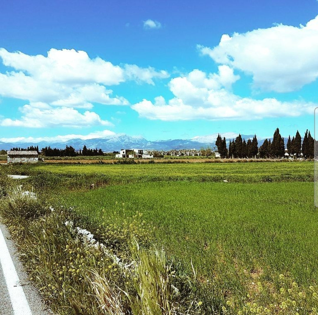 Mallorca Training Camp 2026 (2nd - 9th March)