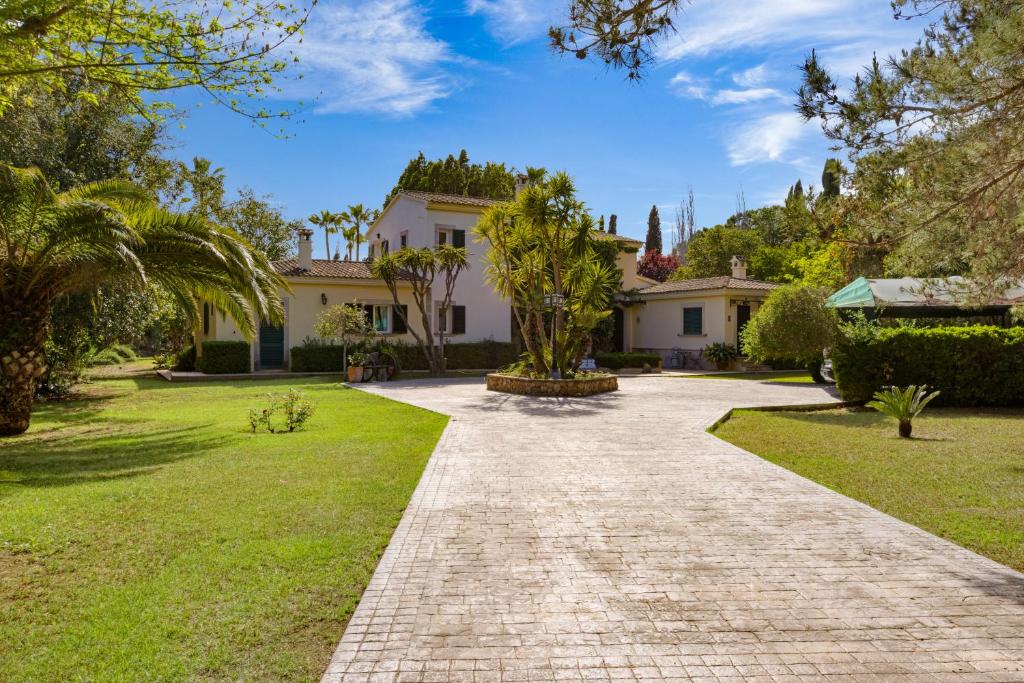 Mallorca Training Camp 2026 (2nd - 9th March)